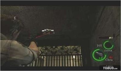 《生化危机5：深入险境的游戏攻略与下载指南》