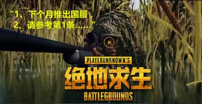 《绝地求生》国服上线前瞻与攻略指南