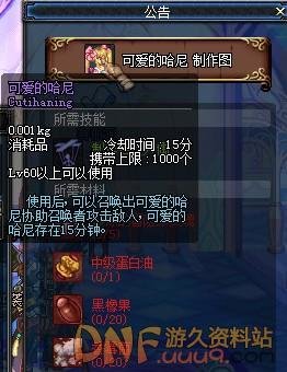 《DNF》哈尼魔法师的全面攻略：解锁你的战斗潜能