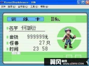 口袋妖怪蓝宝石金手指使用指南与风险提示